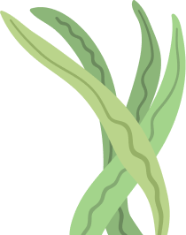 plant-light